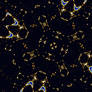 An X-rayed Fractal