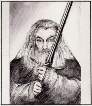 LotR: Gandalf the Grey