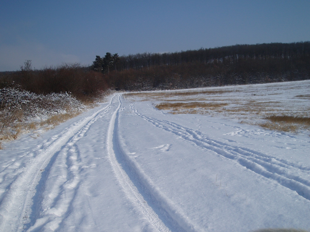 Snowy Hillside