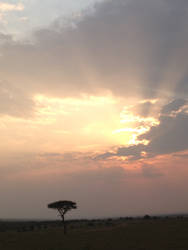 African sunset