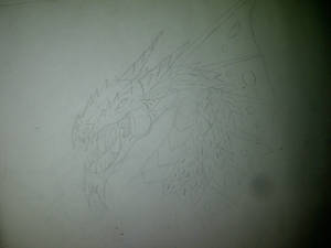 DRAGON 6