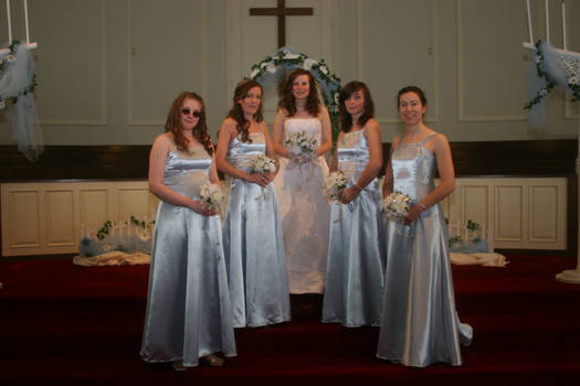 Bride and Bride's Maids