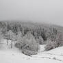 Winter in the Black Forest