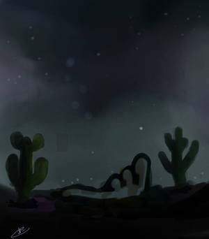 The desert by night