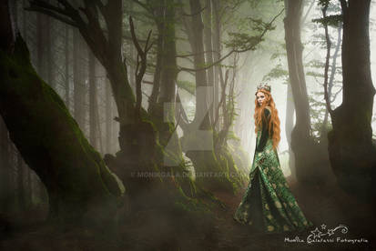 The Princess of the Forest