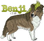 benji