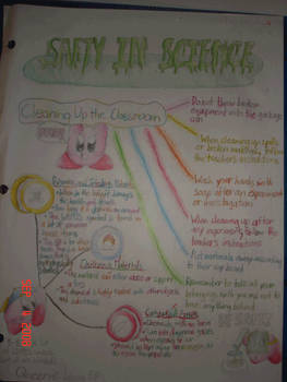 Science Safety Poster - Gr. 8