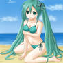 Miku Summer Time