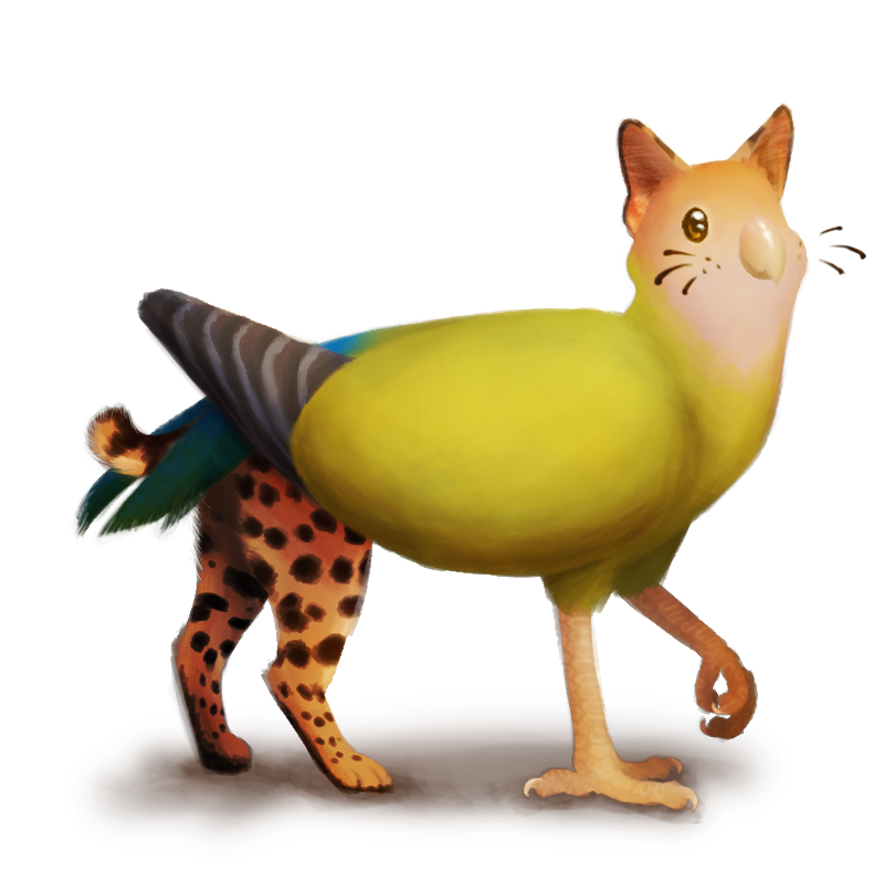 Ranger, the Lovebird Serval Griffon