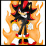 Shadow The Hedgehog