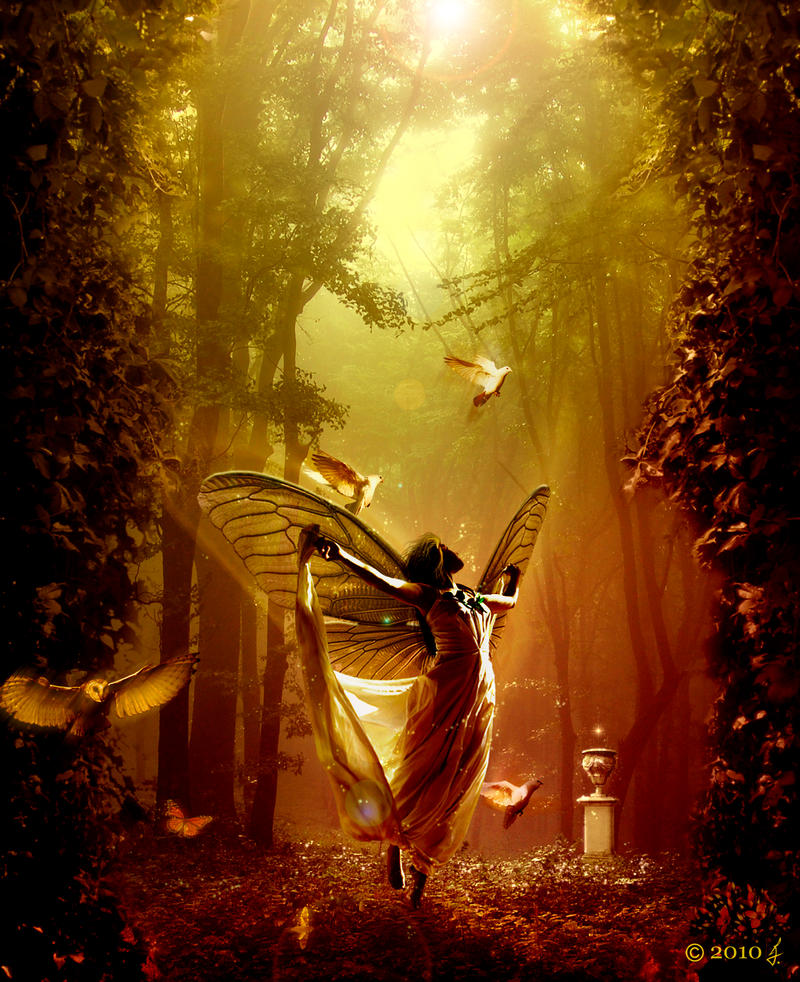 Enchanted forest