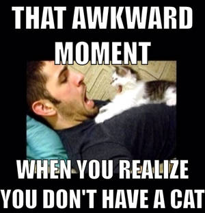 that awkward moment 1