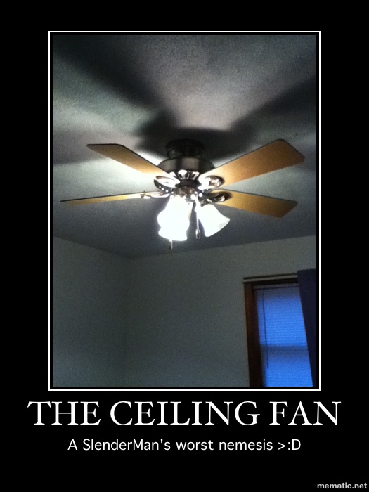 The Ceiling Fan...