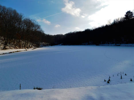 Frozen Lake