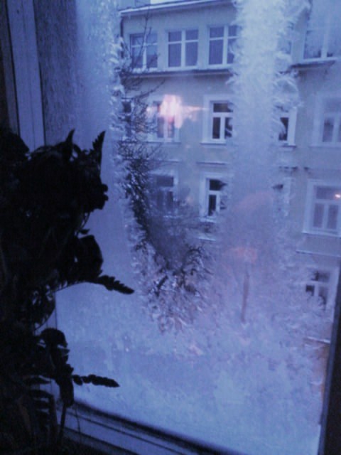 W-window, w-winter.