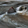 Rocky Rapids - HDR