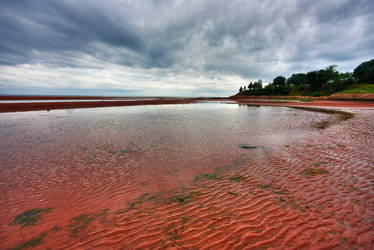 PEI Beach VI