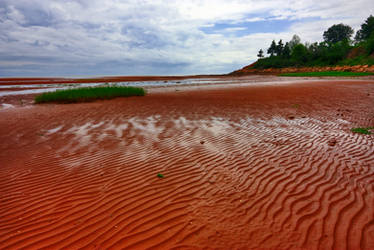 PEI Beach VIII