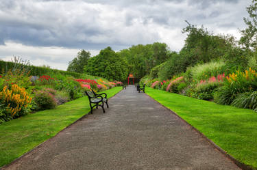 Belfast Botanic Gardens II