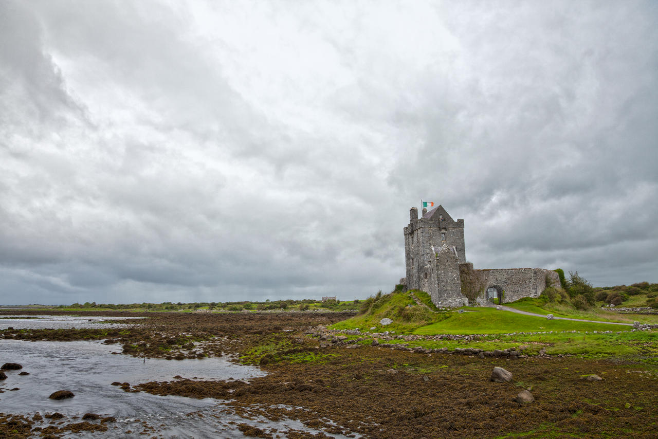 Dunguaire Castle V