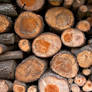 Wood Logs