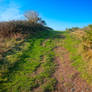 Jersey Trail III - HDR