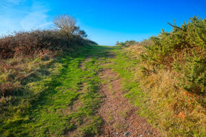 Jersey Trail III - HDR