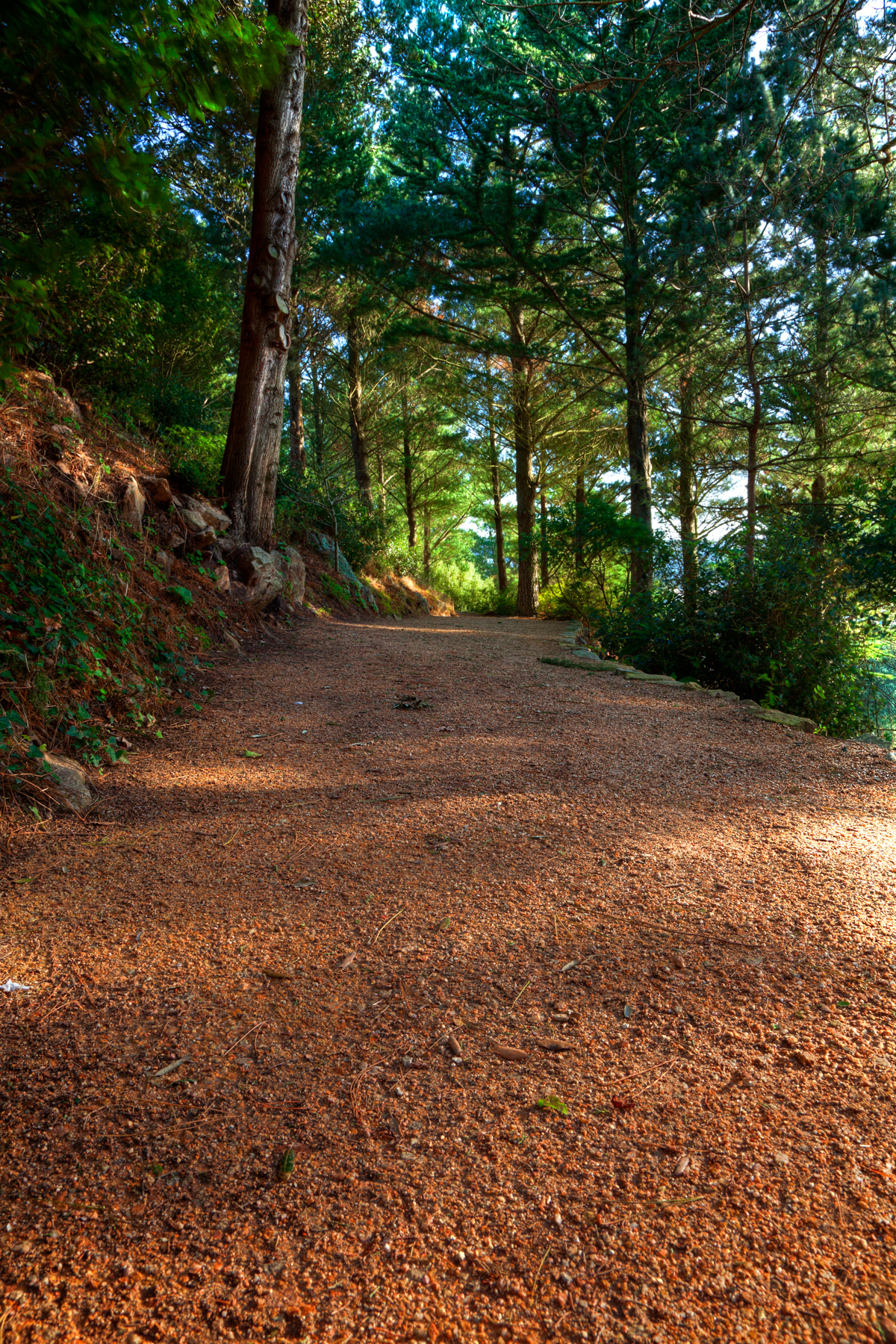 Jersey Trail IV - HDR