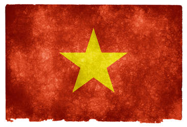 Vietnam Grunge Flag