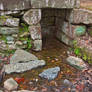 Forest Ruins I - HDR