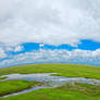 Normandy Planet Pasture