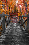 Bridge to Fall Colors by boldfrontiers