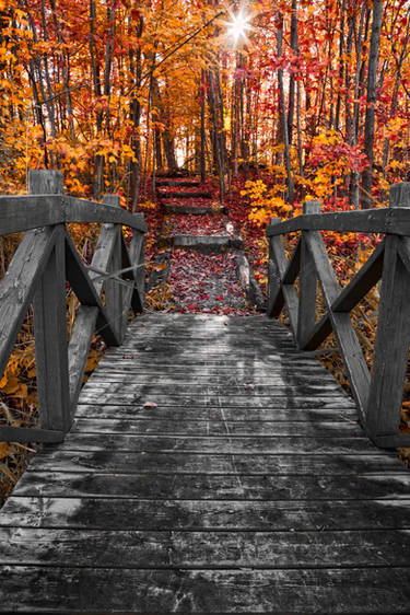 Bridge to Fall Colors