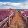 Pink Beach Boardwalk