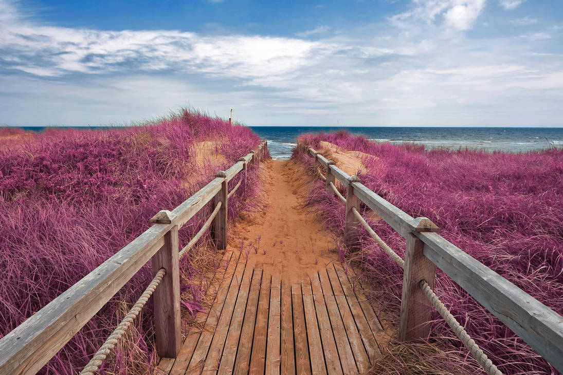 Pink Beach Boardwalk by boldfrontiers