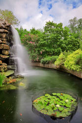 Zoo Waterfall II