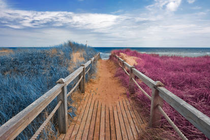 Passion Beach Boardwalk