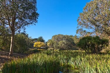 Zoo Marsh