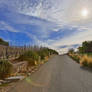 Sonoma Country Road