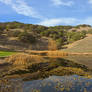 Sonoma Pondscape