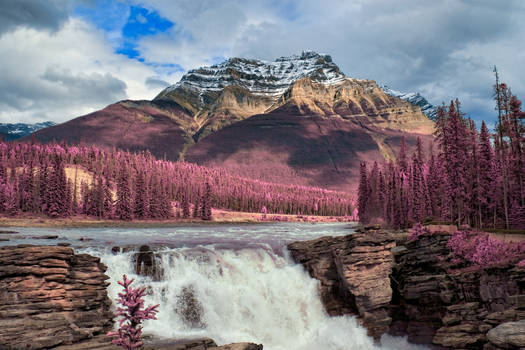 Athabasca Falls - Tickle Me Pink