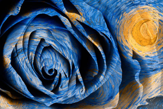Starry Night Rose