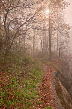Misty North Point Trail (freebie)