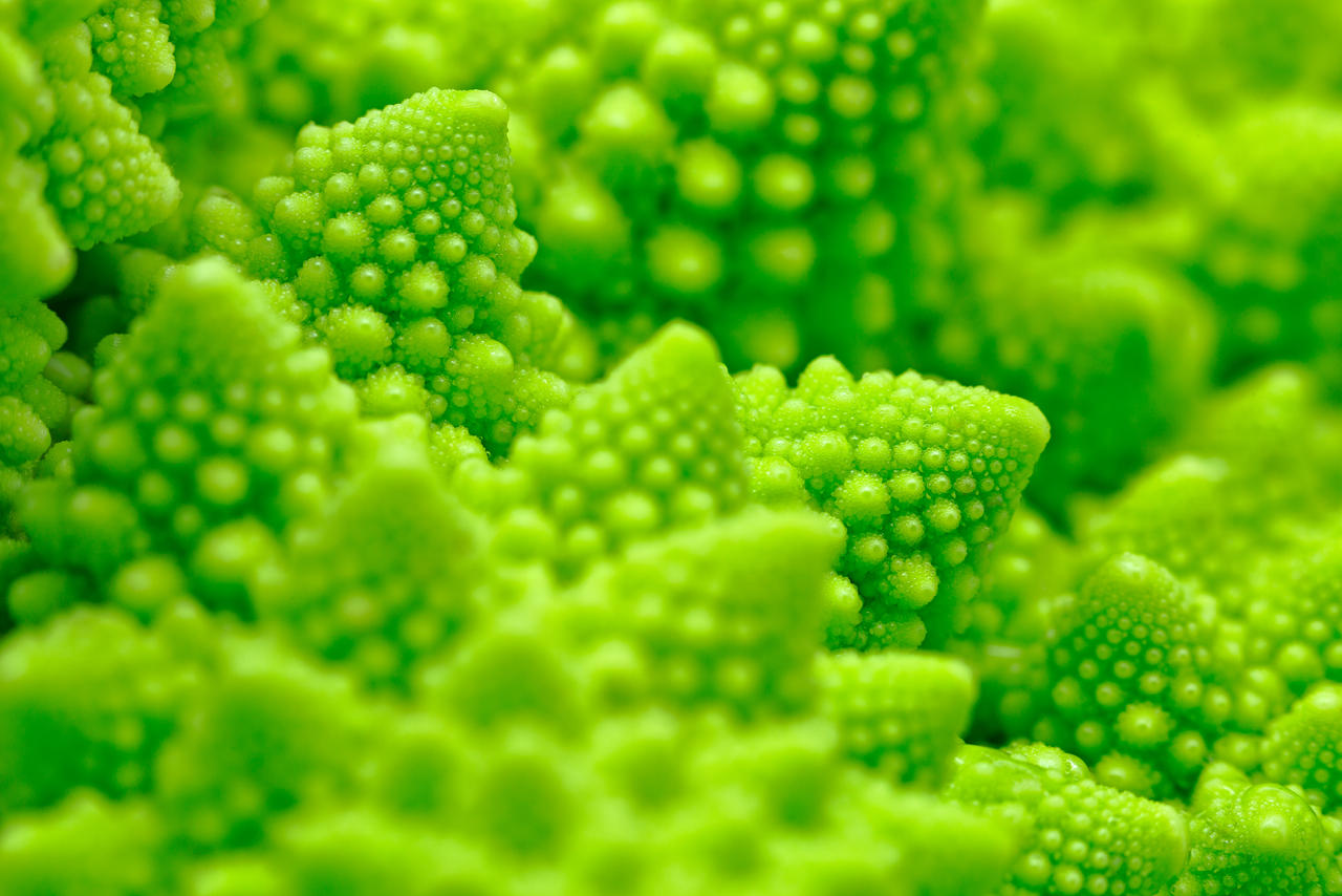 Macro Romanesco Broccoli by boldfrontiers on DeviantArt