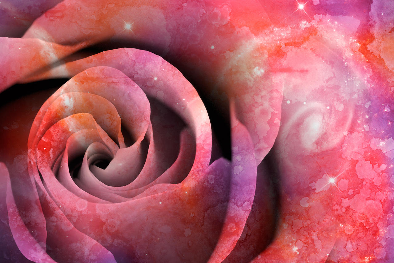 Celestial Love Rose by boldfrontiers