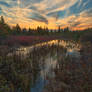 Autumn Dolly Sods Sunset