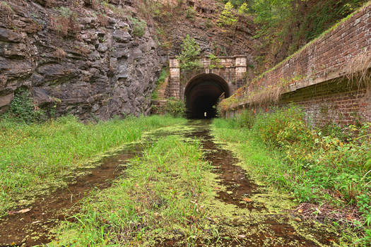 Paw Paw Tunnel II