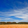 Wye Island Sky Field