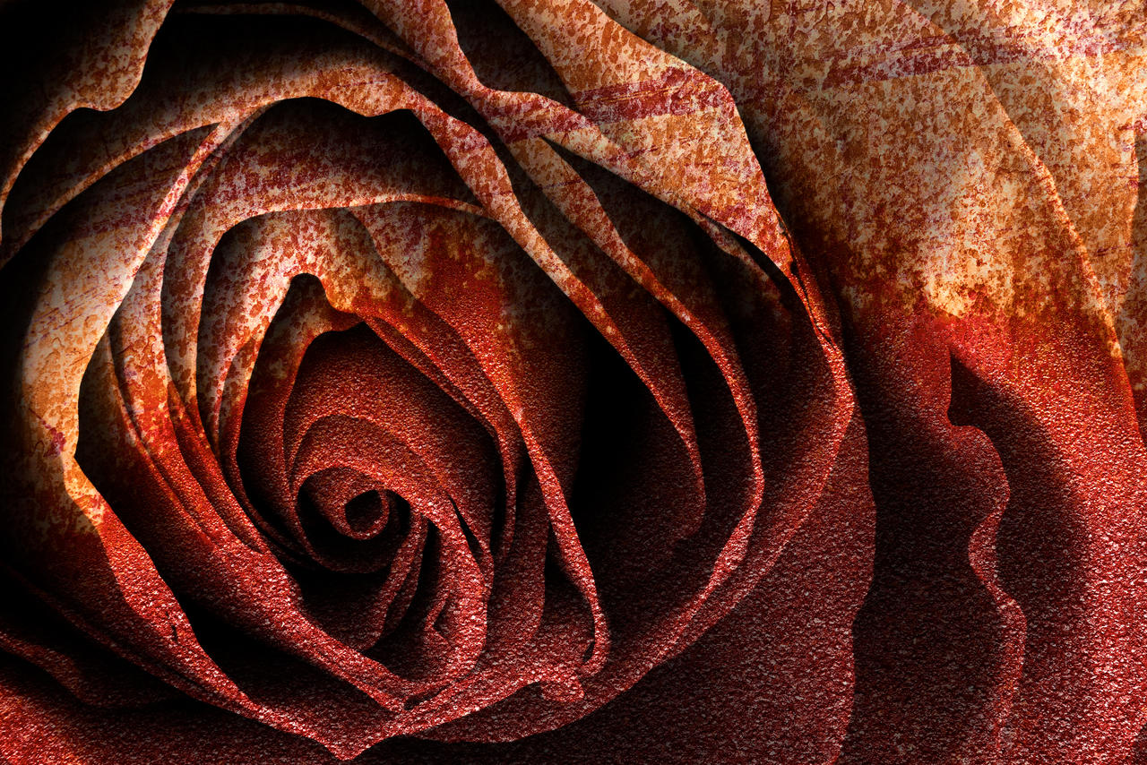 Bleeding Rust Rose by boldfrontiers