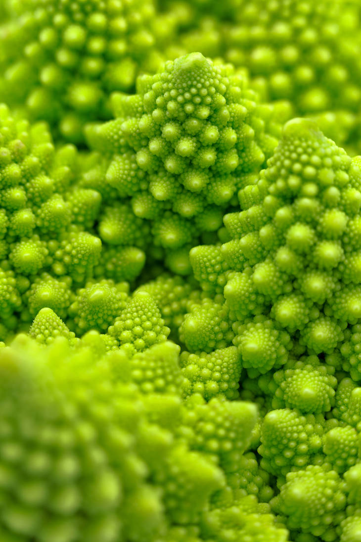 Macro Romanesco Broccoli II by boldfrontiers on DeviantArt